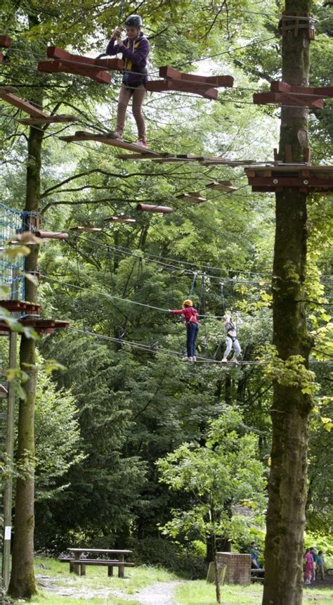 Castlecomer Discovery Park - Visit Kilkenny