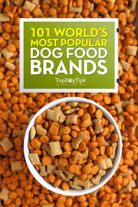 Discover the Top 10 Popular Brands of Dog Food for a Healthier and ...