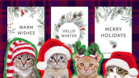 Cat Christmas Cards: The Cutest Season’s Greetings You Can Send This ...