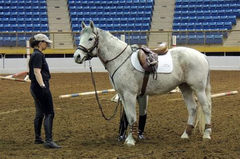 Bit of Honey Training: Day 2 Horse Expo - Jumping Courses