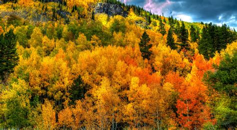 11 Colorful Autumn Drives in Colorado | Top Places to See Fall Foliage ...