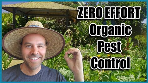 Easy Organic Pest Control - WeCookin