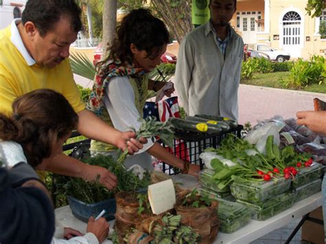 Mazatlan's Organic Farmers Market - Mazatlan4Rent