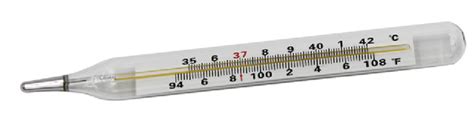 Explain the working of a clinical thermometer - Tutorix