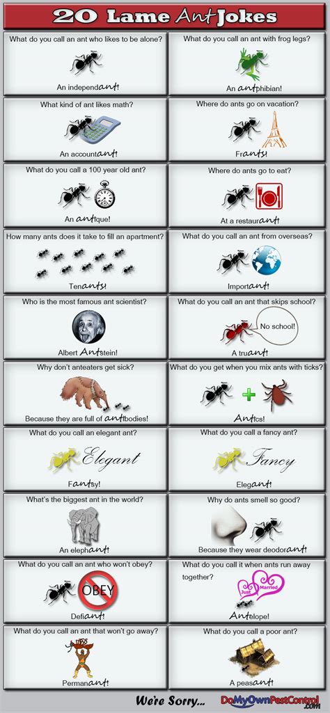 Ant Jokes & Ant Puns | DoMyOwn.com