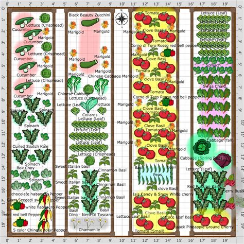 Vegetable Garden Layout Diagram