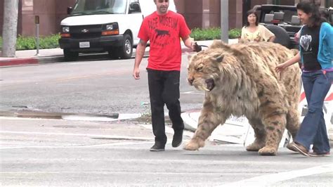 Saber-toothed cat struts down Wilshire Blvd in L.A. and... | Doovi