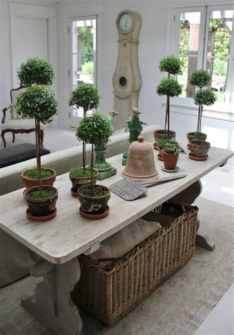 341 best images about BOXWOOD/ TOPIARY on Pinterest | Gardens, Hedges ...