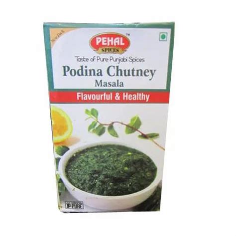 Podina Chutney Masala at best price in Sas Nagar by Jindal Food ...