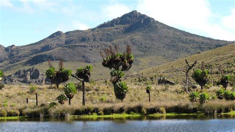 Mount Elgon National Park | Hiking Mount Elgon