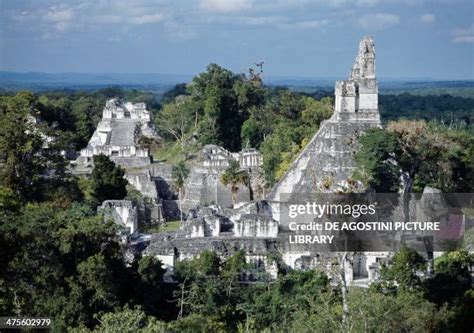 Tikal Mayan Ruins Photos and Premium High Res Pictures - Getty Images