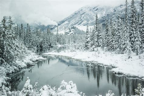 [Winter] Somewhere in the snowy wilderness of Alberta, Canada [2048× ...