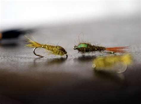 How to Choose a Freshwater Fly Selection - Kayak Paddling