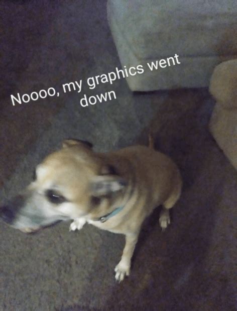 meme made with my dog : r/memes