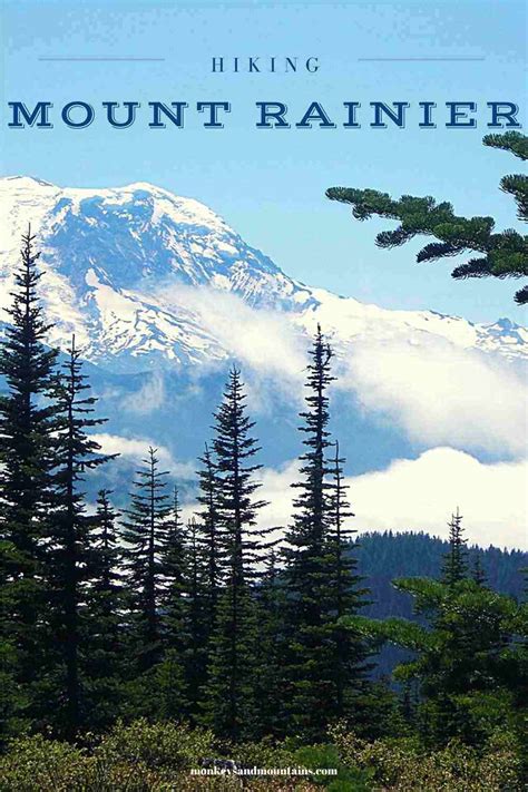 7 Best Mount Rainier Hiking Trails for Easy to Moderate Adventures