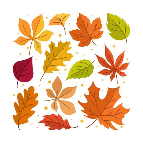 Fall Leaves Vector Art, Icons, and Graphics for Free Download