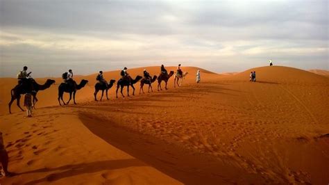 How to Shoot Perfect Desert Photography Image