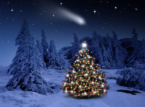 🔥 [50+] Lighted Christmas Tree Wallpapers | WallpaperSafari