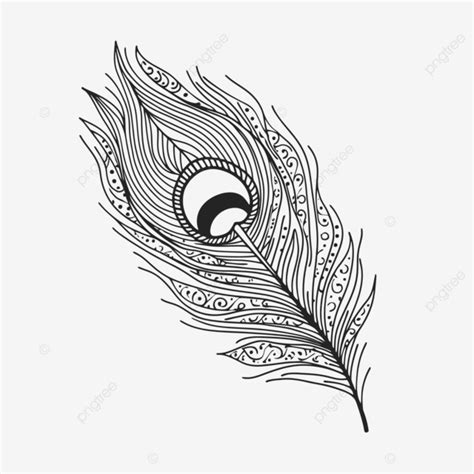 Peacock Feather Free Coloring Art Printable Outline Sketch Drawing ...