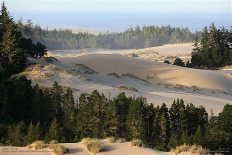 Oregon Dunes National Recreation Area | Oregon dunes, Recreation area ...