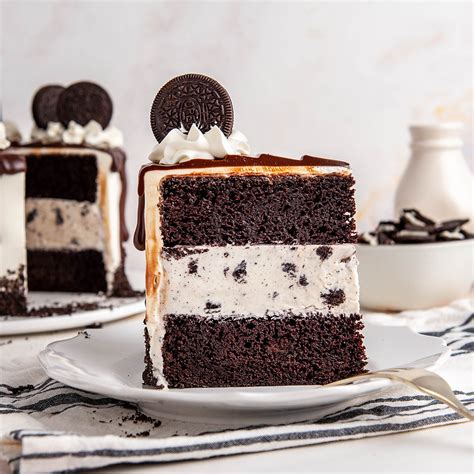 Lactaid Ice Cream Cake Recipe | Dandk Organizer