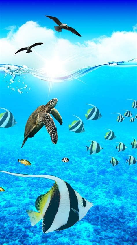 Aesthetic Marine Life Wallpaper Download | MobCup