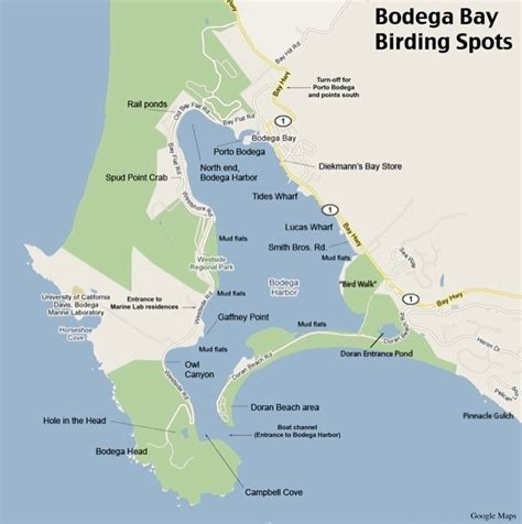 The Official Bodega Bay Area Website