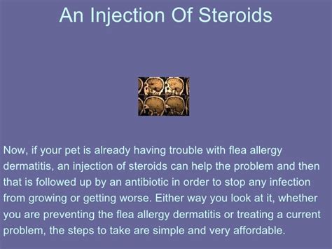 Flea Allergy Dermatitis Facts And Advice