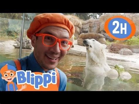 Blippi visits San Diego Zoo! | Animals for Cartoons Kids | Funny ...