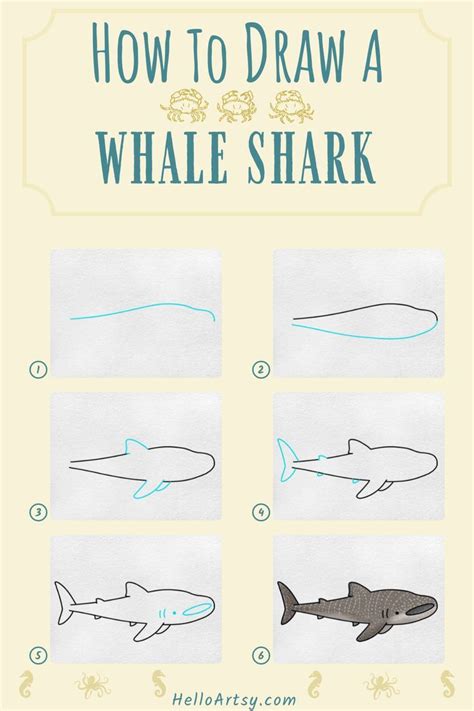 whale shark drawing easy - Samara Olds