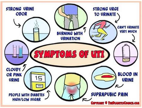 Diabetes And Uti In Men - DiabetesWalls