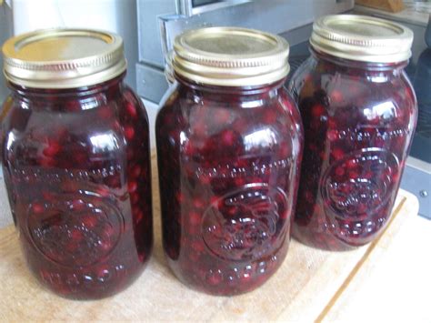 Saskatoon Berry Pie Filling Recipe