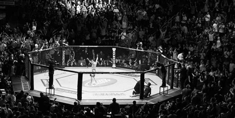 UFC Cage Wallpapers - Top Free UFC Cage Backgrounds - WallpaperAccess