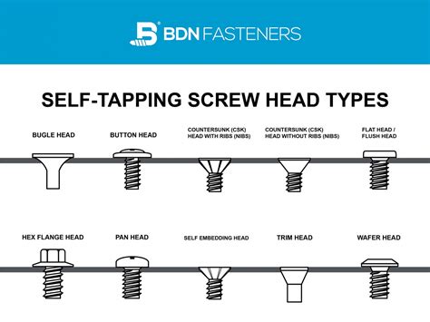 10 Screw Head Types: Different Self-Tapping Screw Head Types