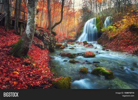 Autumn Forest Image & Photo (Free Trial) | Bigstock