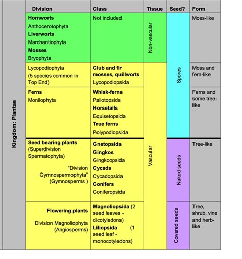 Vascular vs Nonvascular – Recognise Plants