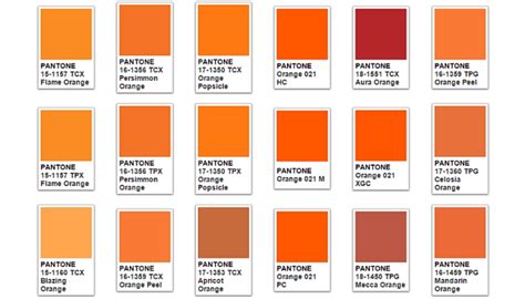 Orange Color Meaning & Symbolism | The Color Orange