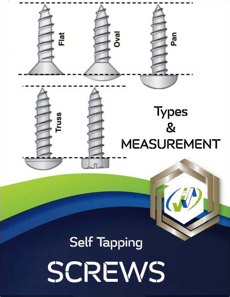 Stainless Steel Self Tapping Screw manufacturer | 304/316 Tappers Bolt