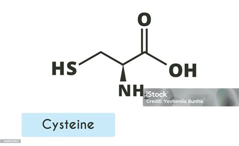 Cysteine Molecule Structure Stock Illustration - Download Image Now ...