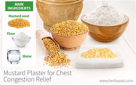 Mustard Plaster for Chest Congestion Relief | HerbaZest