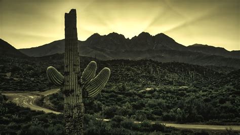 Four Peaks Sunrise | Arizona photography, Sunrise, Arizona