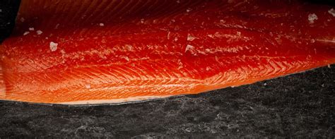 5 Reasons Why Salmon Is Farmed | Fish People