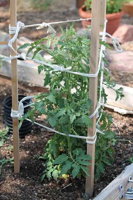 18 DIY Tomato Cages For Your Garden