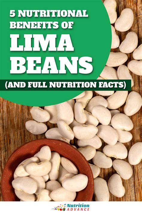 5 Nutritional Benefits of Lima Beans (and Nutrition Facts)