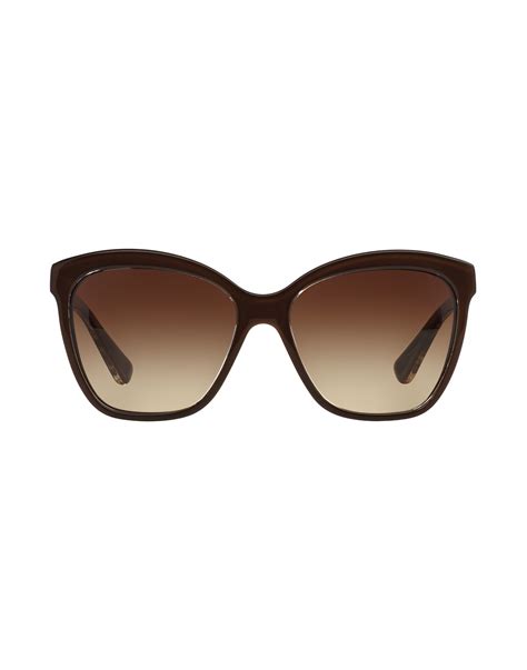 Dolce & gabbana Sunglasses in Brown | Lyst