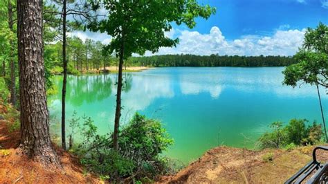 Hiking In Louisiana: Top 7 Trails You Should Visit