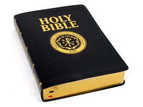 Catholic Scripture Study Bible (RSV-Catholic Edition) Large Print- Bibles