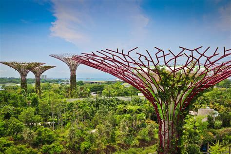 Gardens By The Bay - DESIGNSIGH