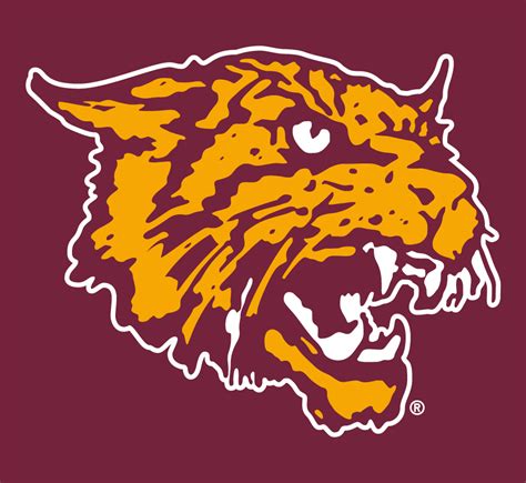 Bethune-Cookman Wildcats Logo - Alternate Logo - NCAA Division I (a-c ...