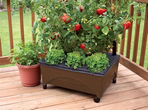 Patio Raised Self Watering Garden Grow Box $13.99 on Amazon